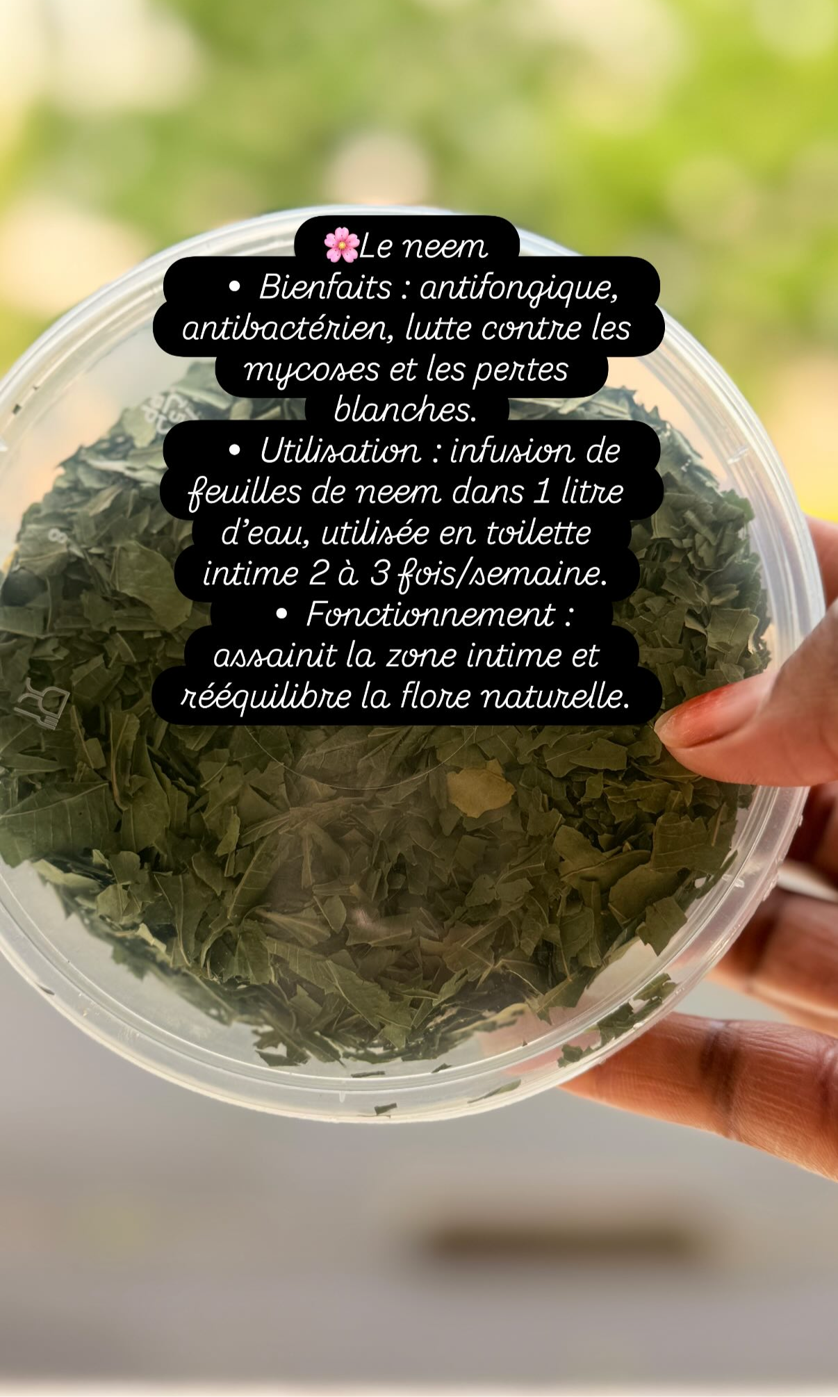 Feuille de neem